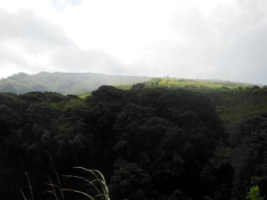 Uçsuz bucaksız mavi gökyüzünün altında dramatik bulutlarla Kilauea Krateri 'nin çarpıcı manzarası. Bu engebeli volkanik arazi yemyeşil bitki örtüsüyle çelişiyor..
