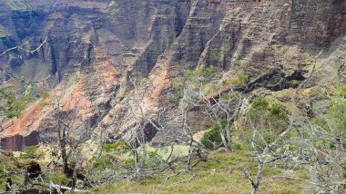Uçsuz bucaksız mavi gökyüzünün altında dramatik bulutlarla Kilauea Krateri 'nin çarpıcı manzarası. Bu engebeli volkanik arazi yemyeşil bitki örtüsüyle çelişiyor..