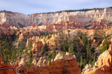 Bryce Canyon Ulusal Parkı 'nın altın saatindeki göz kamaştırıcı manzarası. Güneş ışığının ikonik kabadayılara sıcak bir ışık saçtığı yer. Karmaşık kaya oluşumları vadinin zemininden yükseliyor, kırmızı ve turuncu renkleri yüksek gökdelenlerin aksine duruyor.