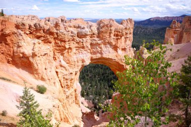 Bryce Kanyonu 'ndaki turuncu kireç taşından oyulmuş çarpıcı bir doğal kemer aşağıdaki gür çam ormanlarına dramatik bir pencere sunuyor..