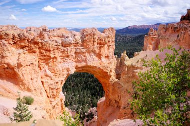 Bryce Kanyonu 'ndaki dramatik turuncu kayalıkların üzerinde tek bir çam ağacı duruyor. Utah' ın engebeli çöl manzarasını ve geniş orman manzaralarını gözler önüne seriyor..