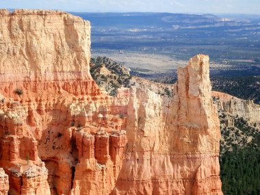 Bryce Kanyonu 'ndaki dramatik turuncu kayalıkların üzerinde tek bir çam ağacı duruyor. Utah' ın engebeli çöl manzarasını ve geniş orman manzaralarını gözler önüne seriyor..