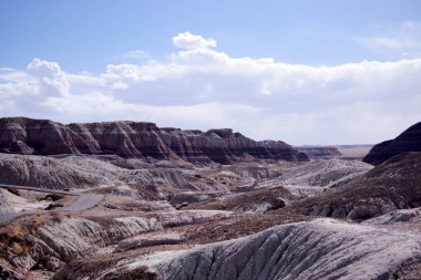 Arizona 'nın Taşlaşmış Ormanı' ndan taşlaşmış bir odun parçasının içindeki parlak kristallerin makro görüntüsü Boyalı Çöl 'ün antik jeolojik güzelliğini gözler önüne seriyor..
