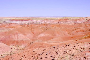 Arizona 'nın Taşlaşmış Ormanı' ndan taşlaşmış bir odun parçasının içindeki parlak kristallerin makro görüntüsü Boyalı Çöl 'ün antik jeolojik güzelliğini gözler önüne seriyor..