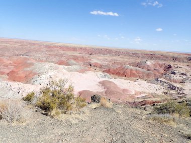 Arizona 'nın Taşlaşmış Ormanı' ndan taşlaşmış bir odun parçasının içindeki parlak kristallerin makro görüntüsü Boyalı Çöl 'ün antik jeolojik güzelliğini gözler önüne seriyor..