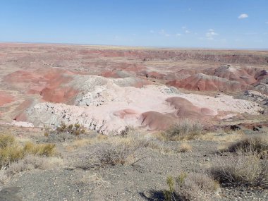 Arizona 'nın Taşlaşmış Ormanı' ndan taşlaşmış bir odun parçasının içindeki parlak kristallerin makro görüntüsü Boyalı Çöl 'ün antik jeolojik güzelliğini gözler önüne seriyor..