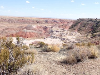 Arizona güneşi altında uzanan yuvarlanan kırmızı ve pembe çöl tepeleri Petrified Forest Ulusal Parkı 'ndaki Boyalı Çölde, ön plandaki çöl fırçasıyla çerçevelenmiştir..