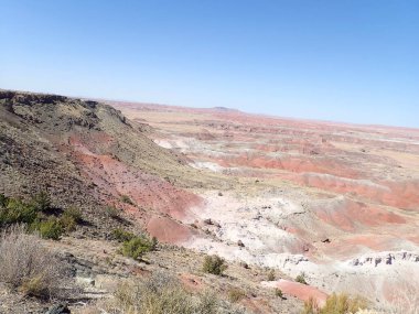 Arizona 'nın Taşlaşmış Ormanı' ndan taşlaşmış bir odun parçasının içindeki parlak kristallerin makro görüntüsü Boyalı Çöl 'ün antik jeolojik güzelliğini gözler önüne seriyor..