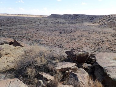 Arizona 'nın Taşlaşmış Ormanı' ndan taşlaşmış bir odun parçasının içindeki parlak kristallerin makro görüntüsü Boyalı Çöl 'ün antik jeolojik güzelliğini gözler önüne seriyor..