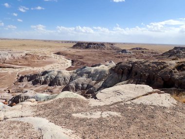 Arizona 'nın Taşlaşmış Ormanı' ndan taşlaşmış bir odun parçasının içindeki parlak kristallerin makro görüntüsü Boyalı Çöl 'ün antik jeolojik güzelliğini gözler önüne seriyor..