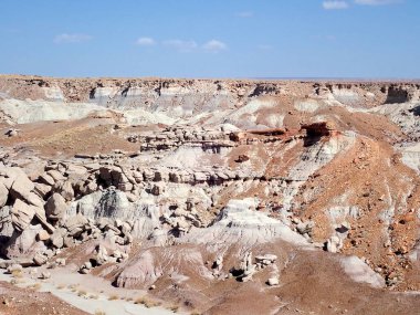 Arizona 'nın Taşlaşmış Ormanı' ndan taşlaşmış bir odun parçasının içindeki parlak kristallerin makro görüntüsü Boyalı Çöl 'ün antik jeolojik güzelliğini gözler önüne seriyor..