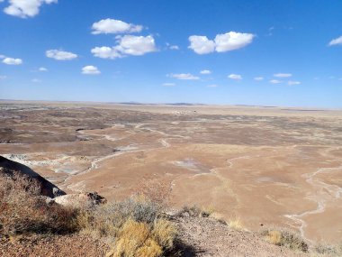 Arizona 'nın Taşlaşmış Ormanı' ndan taşlaşmış bir odun parçasının içindeki parlak kristallerin makro görüntüsü Boyalı Çöl 'ün antik jeolojik güzelliğini gözler önüne seriyor..