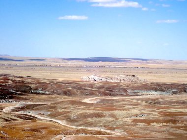 Arizona 'nın Taşlaşmış Ormanı' ndan taşlaşmış bir odun parçasının içindeki parlak kristallerin makro görüntüsü Boyalı Çöl 'ün antik jeolojik güzelliğini gözler önüne seriyor..