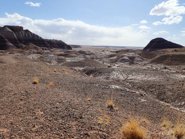 Arizona 'nın Taşlaşmış Ormanı' ndan taşlaşmış bir odun parçasının içindeki parlak kristallerin makro görüntüsü Boyalı Çöl 'ün antik jeolojik güzelliğini gözler önüne seriyor..