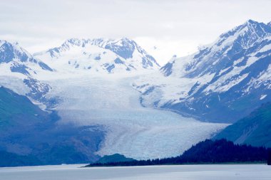 Yoğun bir buzul, bulutlu bir günde engebeli karların arasından okyanusa dökülür.