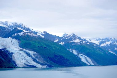 İki buzul, bulutlu bir günde karlı tepelerden durgun kıyı sularına yemyeşil yamaçlardan iniyor.
