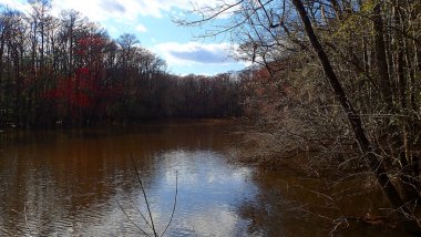 Güney Carolina 'daki Congaree Ulusal Parkı' nda yansımaları ve rengarenk yapraklarıyla birlikte nehir kıvrımları.