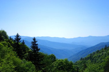 Açık bir yaz gününde Great Smoky Dağları Ulusal Parkı 'nda sisli mavi tepeler uzanıyor.