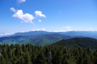 Büyük Smoky Dağları Ulusal Parkı 'ndaki Clingmans Kubbesi' nden geniş bir orman tepe ve tepe manzarası.