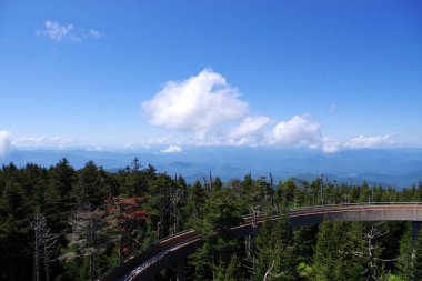 Clingmans Kubbesi 'ndeki gözlem kulesi Büyük Smoky Dağları' nda geniş bir dağ manzaralı ladin ormanının üzerinde kıvrılır.