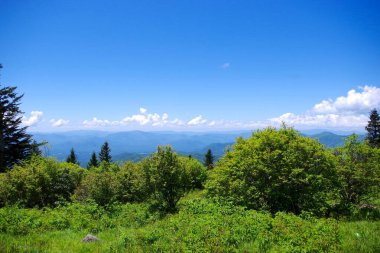 Açık mavi gökyüzünün altındaki Büyük Smoky Dağları Ulusal Parkı 'ndaki uzak tepelerin ve yeşil yaz çalılarının geniş manzarası.