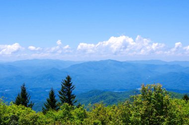 Uzak tepeler ve yeşil orman Büyük Smoky Dağları Ulusal Parkı 'ndaki bulutlarla dolu mavi bir gökyüzünün altında uzanıyor.