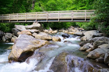 Büyük Smoky Dağları Ulusal Parkı 'nda bir dağ deresi, ahşap bir yaya köprüsü ve büyük kayaların altından akar.