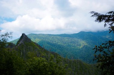 Büyük Smoky Dağları Ulusal Parkı 'ndaki orman tepelerinin tepesinde bulutlar yükseliyor.