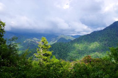 Büyük Smoky Dağları Ulusal Parkı 'ndaki orman tepelerinde çarpıcı bir ışık var. Tepeler bulutlarla kaplı.