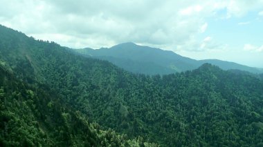 Orman tepeleri, Büyük Dumanlı Dağlar Ulusal Parkı 'ndaki dramatik bulutların altında sisli tepelere doğru uzanır.