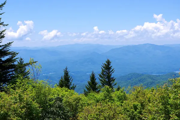 Dağ sırtları, Büyük Smoky Dağları Ulusal Parkı 'ndaki açık mavi gökyüzünün altındaki yeşil ağaçların arkasına kadar uzanıyor.