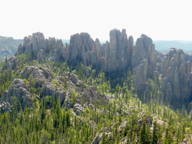 Güneşli bir günde, Kara Tepeler 'in Needles bölgesinde yoğun çam ormanlarının üzerinde dramatik granit kuleler yükselir..