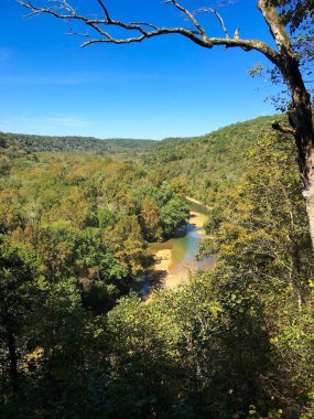 Berrak bir sonbahar gününde Mamut Mağarası Ulusal Parkı 'ndaki verimli tepeler ve ağaçlar tarafından çerçevelenmiş dolambaçlı bir nehrin huzurlu manzarası.