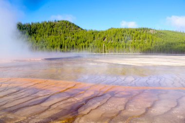 Yumuşak buhar geniş katmanlı bir jeotermal terasta süzülür. Mineral zenginleştirilmiş sular kehribar, lavanta ve kül renklerinde eşmerkezli kanallar oyar. Uzakta, sabah ışığında yoğun bir çam sırtı duruyor.