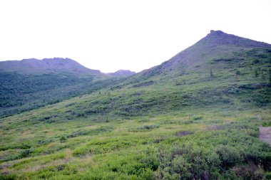 Yumuşak akşam ışığı altında yakalanan Alaska Denali Ulusal Parkı 'ndaki kayalık dağ tepelerine doğru yumuşak yeşil tepeler yükseliyor.