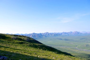 Denali 'nin uzak tepelerinin önü yeşil ovalarla aydınlandı. Alaska' nın uçsuz bucaksız çöllerini ve dinginliğini yakaladı.