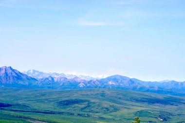 Denali 'nin uzak tepelerinin önü yeşil ovalarla aydınlandı. Alaska' nın uçsuz bucaksız çöllerini ve dinginliğini yakaladı.