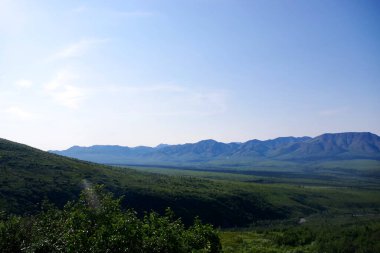 Alaska Denali Ulusal Parkı 'ndaki ormanlık bir vadi boyunca uzanan dağ sırtları yumuşak bir sabah ışığı ve sisli bir gökyüzü ile
