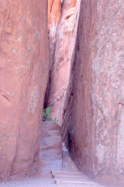 Utah, Arches Ulusal Parkı 'ndaki yüksek kırmızı kaya duvarları arasında dar bir kumtaşı koridoru var.