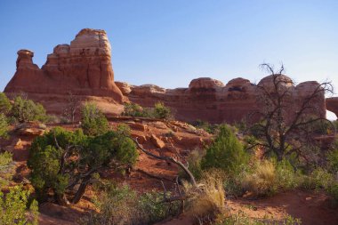 Güneşli kırmızı kaya oluşumları çöl çalılarının ve Utah Arches Ulusal Parkı 'ndaki ağaçların üzerinde yükseliyor.