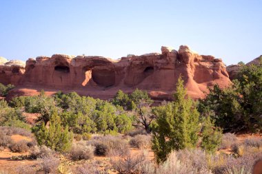 Utah Arches Ulusal Parkı 'ndaki çöl bitkisinin üzerinde erozyon tarafından oyulmuş belirgin kırmızı kaya kemerleri.