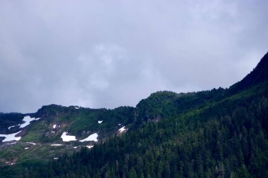 Yaz boyunca Ketchikan Alaska yakınlarında kar yamaçları ve bulutlu gökyüzü ile yeşil orman dağları
