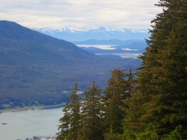 Juneau, Alaska 'nın ötesindeki karla kaplı dağlara doğru ormanlık tepelere ve suya bakıyorum.