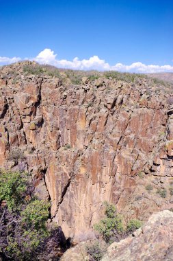 Parlak güneş ışığı, Gunnison 'un Kara Kanyonu' nun kenarındaki yoğun çalılıkların üzerindeki sivri kanyon duvarına çarpar.
