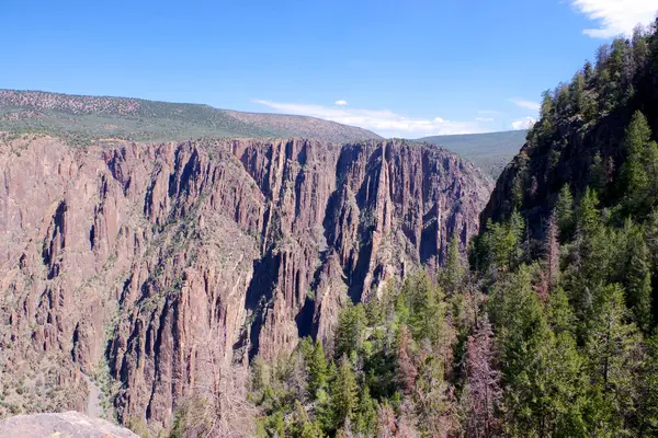 Yükselen dikey kayalıklar ve yoğun orman Colorado 'da berrak bir gökyüzünün altında Gunnison' un Kara Kanyonu 'nu çevrelemektedir.
