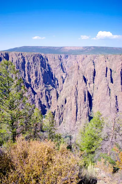 Dik kanyon duvarları ve yoğun ormanın geniş bir görüntüsü. Gunnison Nehri 'nin çok altında çok az görülebiliyor.