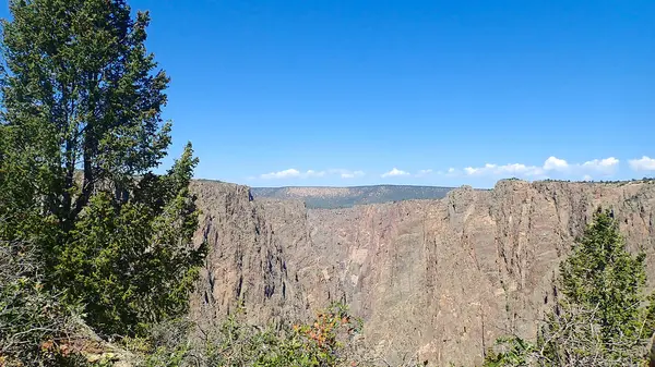Parlak gökyüzünün altındaki yüksek kanyon kayalıkları Gunnison 'un Kara Kanyonu' ndaki yeşil çam ağaçları tarafından çerçevelenmiştir.
