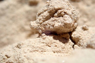 Çorak Topraklar Ulusal Parkı 'ndaki erozyondan dolayı ince taneciklere ayrılan hassas, kumlu kil yakınlaşması.