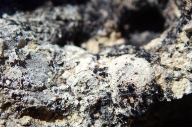 Gözenekli dokusu ve doğal mineral parçacıkları olan kaba siyah beyaz volkanik kayaların yakın çekimi.