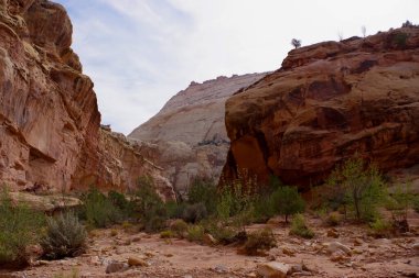 Dağınık çalılar ve küçük ağaçlarla kumlu bir çöl yıkaması Capitol Resifi Ulusal Parkı Utah 'taki yüksek kırmızı ve bej kumtaşı kayalıklarının altında uzanır.